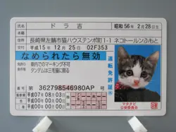 Dorakichi Namennayo TCG Card Drivers License Bosozoku Cats Kawaii Japanese F/S - Image 1