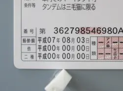 Dorakichi Namennayo TCG Card Drivers License Bosozoku Cats Kawaii Japanese F/S - Image 2