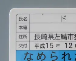 Dorakichi Namennayo TCG Card Drivers License Bosozoku Cats Kawaii Japanese F/S - Image 3