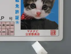 Dorakichi Namennayo TCG Card Drivers License Bosozoku Cats Kawaii Japanese F/S - Image 4