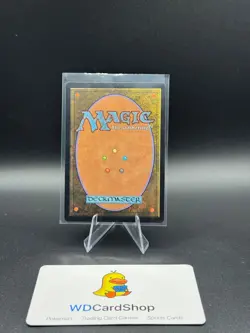 Abandoned Air Temple #263 Near Mint Avatar: The Last Airbender TLA Magic MTG - Image 2
