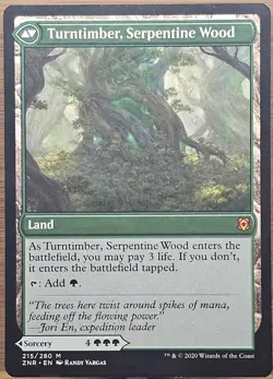 Turntimber Symbiosis Zendikar Rising Near Mint NM MTG US Seller - Image 2