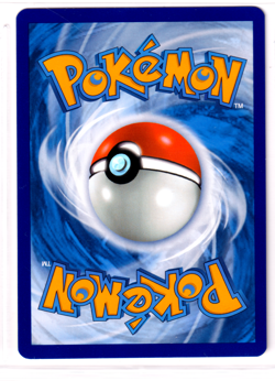 Eevee 125/203 Evolving Skies ENGLISH Common 2021 Near Mint Pokemon - Image 2