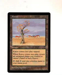 MTG Karoo NM Visions Magic the Gathering ~ Free Shipping ~ - Image 1