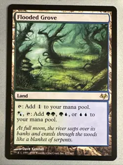 MTG / Flooded Grove / EVE / #177 / Regular / Rare / NM - Image 1