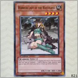 Warrior Lady of the Wasteland - YS11-EN020 - Common 1st Edition Yugioh - Image 1