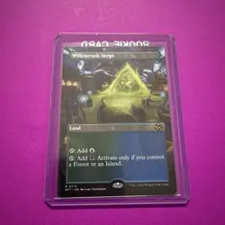 Willowrush Verge - Borderless N/M Aetherdrift - MTG Magic The Gathering Card - Image 1