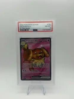 Dachsbun EX 160/142 - Stellar Crown - Pokemon TCG - Graded PSA 8 ?? - Image 1
