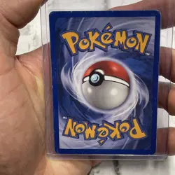 Pokemon EX Ruby & Sapphire 79/109 Zigzagoon Card Vintage E-Reader LP Vtg TCG - Image 3