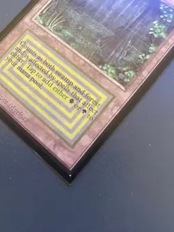 MTG Bayou (IE) International Edition - Image 2