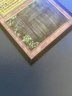 MTG Bayou (IE) International Edition - Image 3