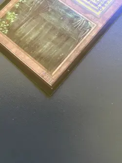 MTG Bayou (IE) International Edition - Image 4