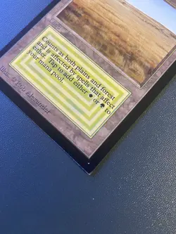 MTG Savannah (CE) Collector's Edition Regular - Image 2