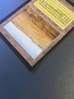 MTG Savannah (CE) Collector's Edition Regular - Image 4