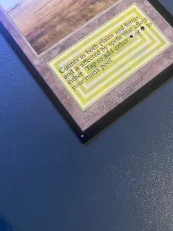 MTG Savannah (IE) International Edition Regular - Image 5