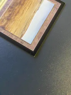 MTG Savannah (IE) International Edition Regular - Image 3