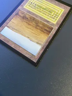 MTG Savannah (IE) International Edition Regular - Image 4