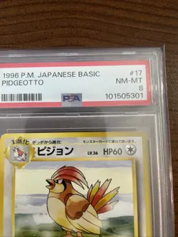 Pokemon PSA 8 Pidgeotto 1996 Base Set Rare Japanese Original Card - Image 2