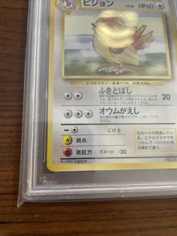 Pokemon PSA 8 Pidgeotto 1996 Base Set Rare Japanese Original Card - Image 4
