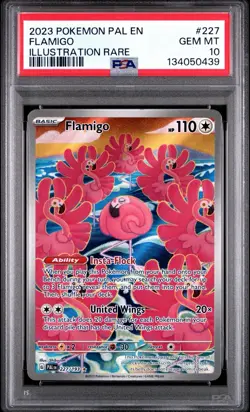 2023 POKEMON PAL EN FLAMIGO 227 PALDEA EVOLVED ILLUSTRATION RARE CARD PSA 10 - Image 1