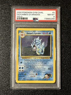 PSA 8 💎 Giovanni's Gyarados #5 - Pokemon Gym Challenge - Wizards of the Coast - Image 1