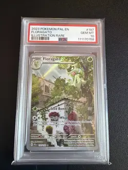 PSA 10 GEM MT Floragato #197 Illustration Rare Pokemon Paldea Evolved EN 2023 - Image 1