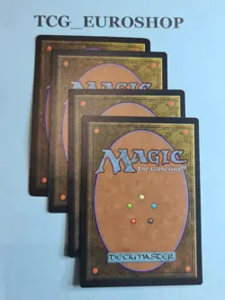 GRANGER GUILDMAGE▪PLAYSET▪MIRAGE▪PT×2+EN×2▪MTG▪1996▪NM(-) #01.170 - Image 2