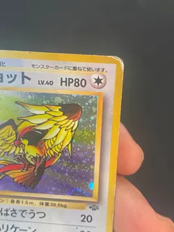 JAPANESE POKEMON PIDGEOT No.018 HOLO WIZARDS JUNGLE ROUCARNAGE - PL - Image 4