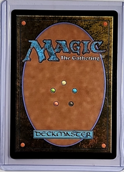 MTG Magic The Gathering Secret Lair Poster Borderless Foil Cultural Exchange - Image 2