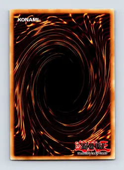 Timaeus the United Dragon - BACH-EN003 - Ultra Rare - 1st Edition - NM - Yugioh - Image 2