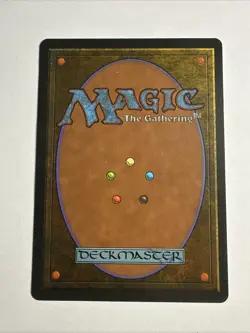 Didgeridoo Homelands Magic mtg Light Play, English x1 - Image 2