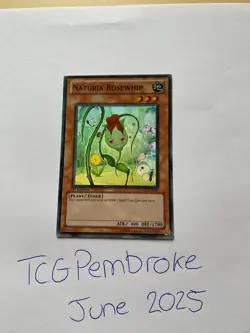 Yugioh Naturia Rosewhip HA02-EN041 Super Rare 1st Ed NM - Image 1