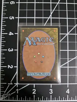 The Walls of Ba Sing Se 0261 TLA Regular MTG Avatar The Last Airbender NM/M - Image 2