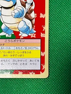 Blastoise Top Sun Green Vintage Japanese Pokemon Promo Card - Image 5