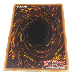 Diamond Dire Wolf YuGiOh CT10-EN012 Super Rare Limited Edition TCG Holo Card - Image 3
