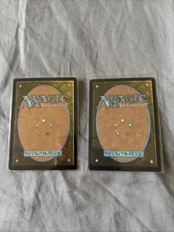 Wan Shi Tong Librarian (Regular) + Wan Shi Tong All-knowing (Foil) - MTG Avatar - Image 2