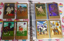 80 x Bella Sara Cards Mixed Lot Horse Cards Mixed Lot With Binder - Image 3