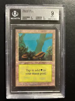 Forest V1 (A) | MTG Magic Alpha | BGS Beckett Graded 9 Quad++ (9|9|9.5|9.5) - Image 1