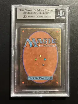 Forest V1 (A) | MTG Magic Alpha | BGS Beckett Graded 9 Quad++ (9|9|9.5|9.5) - Image 2