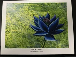 MTG Black Lotus PRINT High Quality Archival Paper From The Christopher Rush Fa - Image 1