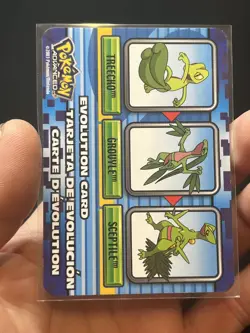 2003 Pokemon Advanced Evolution Cards Groudon Salamence Aggron Sceptile - Image 5