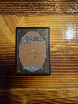 MTG Secret Lair Drop Series Animar, Soul of Elements #1891 Foil Promo LP/NM A - Image 2