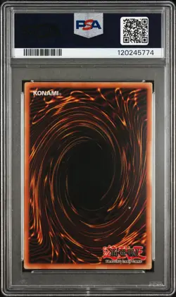 PSA 10 Toon Harpie Lady Yugioh 2020 TOCH-EN002 Collector's Rare 1st READ DES. - Image 2