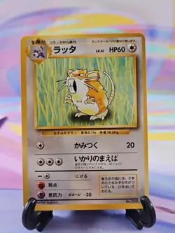 Pokemon TCG Japanese Base Set Card | Raticate #020 Common - Image 1