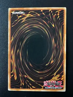 Big Shield Gardna DL09-EN004 Light Blue Rare Duelist League Near Mint Yugioh - Image 2