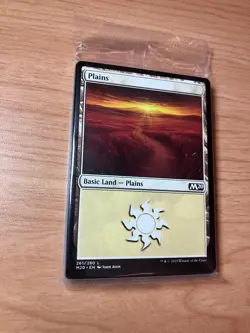 Sealed Basic Lands Pack - Core 2020 - Magic the Gathering - M20 - 20 cards - Image 1