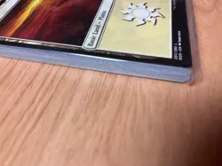 Sealed Basic Lands Pack - Core 2020 - Magic the Gathering - M20 - 20 cards - Image 2