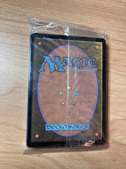 Sealed Basic Lands Pack - Core 2020 - Magic the Gathering - M20 - 20 cards - Image 3