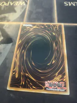 YuGiOh Black Rose Garden Starlight Rare 1st Edition NM (DOOD) - Image 2