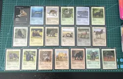 Life TCG 1st Edition Bulk Bundle Over 600 cards Including 30 Rares & Life Binder - Image 2